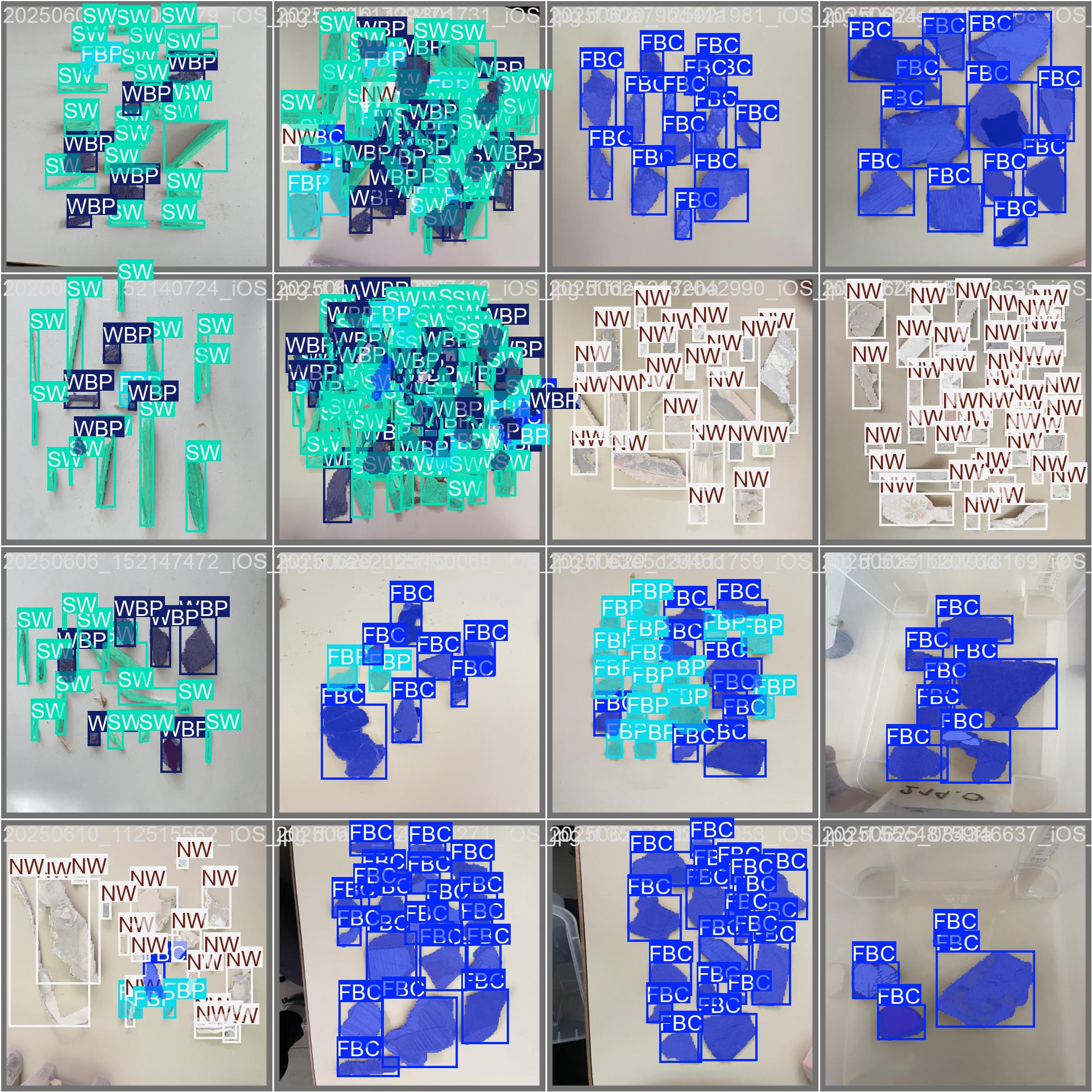 Validation Batch Labels